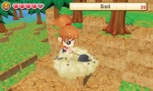 3DS Harvest Moon: The Lost Valley