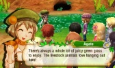 3DS Story of Seasons