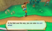 3DS Story of Seasons