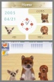 NDS Nintendogs Labrador & Friends