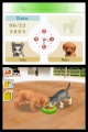 NDS Nintendogs Labrador & Friends