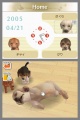 NDS Nintendogs Labrador & Friends