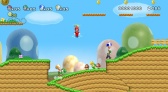 Wii New Super Mario Bros. Wii