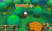 3DS Fantasy Life