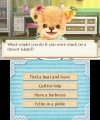 3DS Teddy Together