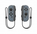 Joy-Con (R) Grey