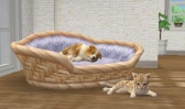 3DS Nintendogs+Cats - Toy Poodle