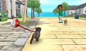 3DS Nintendogs+Cats - Toy Poodle