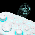 FUNLAB Firefly Pro Switch Wrls Controller-Kakariko