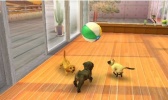 3DS Nintendogs+Cats - Golden Retriever&new Friends