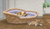 3DS Nintendogs+Cats - Golden Retriever&new Friends